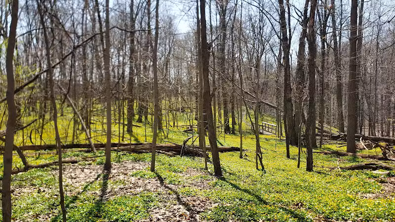 Forest Hill Park - Cleveland Heights, OH