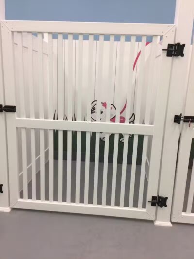 PawsCLE - Cleveland Heights, OH