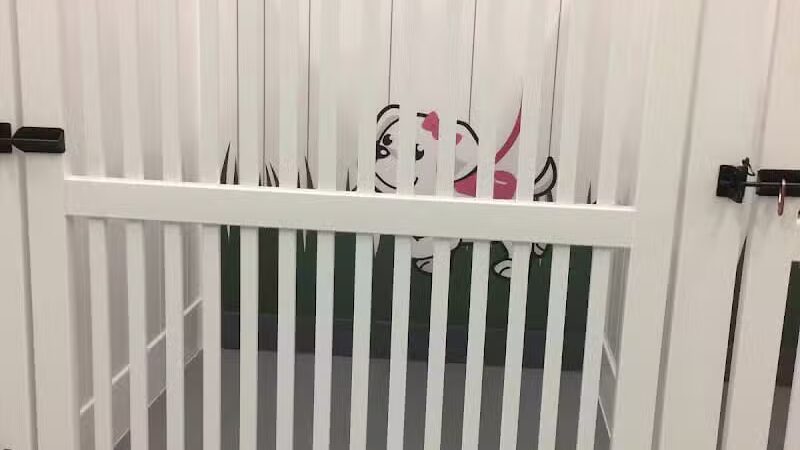 PawsCLE - Cleveland Heights, OH