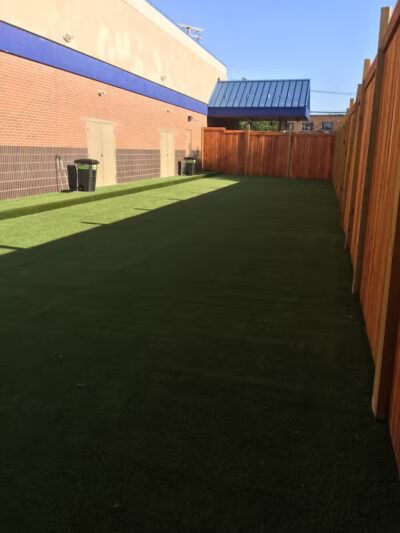 PawsCLE - Cleveland Heights, OH