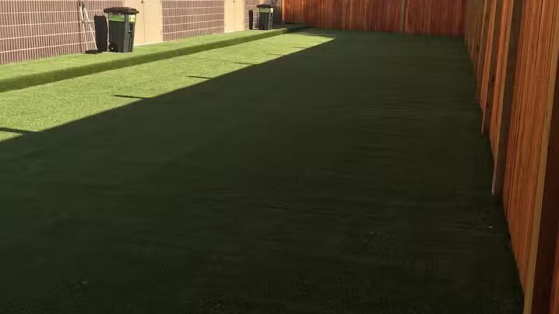 PawsCLE - Cleveland Heights, OH