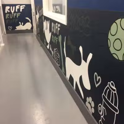 PawsCLE - Cleveland Heights, OH