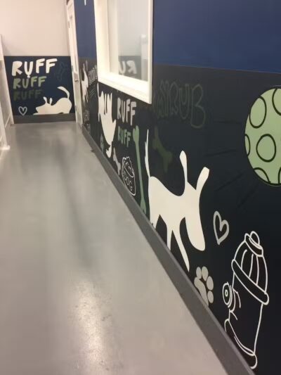 PawsCLE - Cleveland Heights, OH