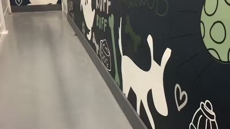 PawsCLE - Cleveland Heights, OH