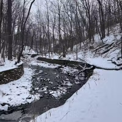 Ambler Park - Cleveland, OH