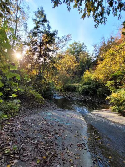 Ambler Park - Cleveland, OH