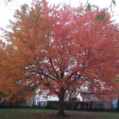 Archmere Park - Cleveland, OH