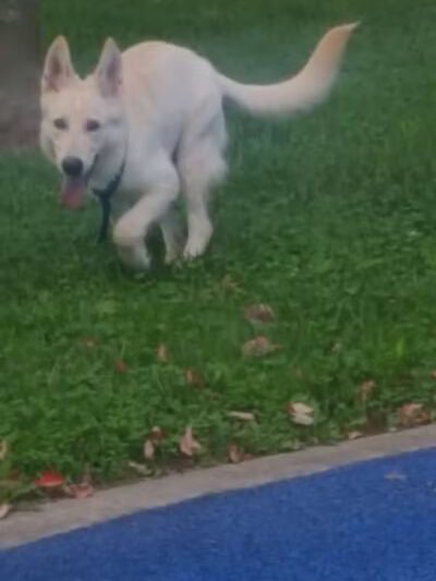 Archmere Park - Cleveland, OH