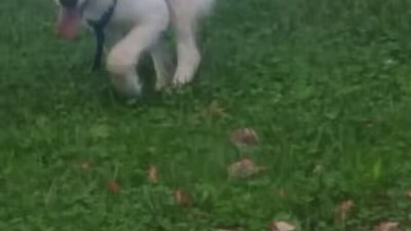 Archmere Park - Cleveland, OH