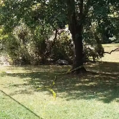 Archmere Park - Cleveland, OH