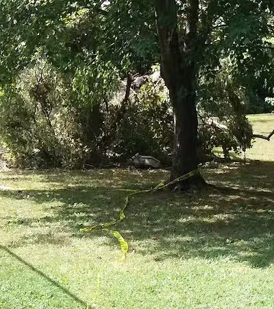 Archmere Park - Cleveland, OH