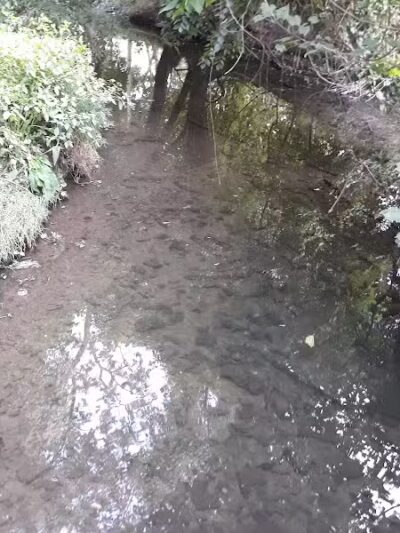 Archmere Park - Cleveland, OH