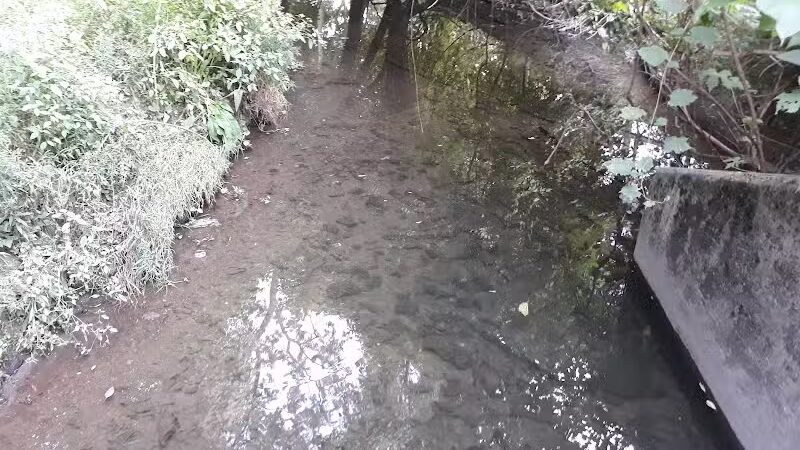 Archmere Park - Cleveland, OH