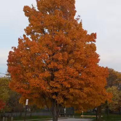Archmere Park - Cleveland, OH