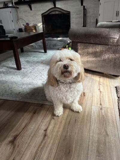 Barklyn Heights - Cleveland, OH