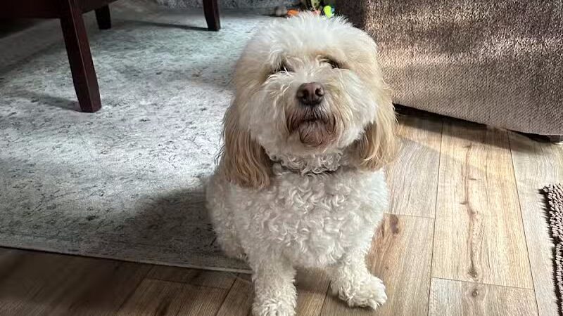 Barklyn Heights - Cleveland, OH