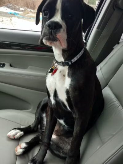 Barklyn Heights - Cleveland, OH