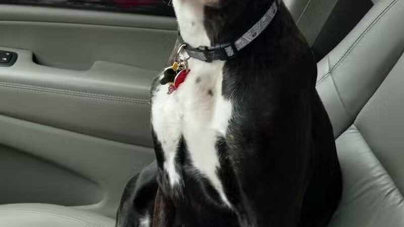 Barklyn Heights - Cleveland, OH