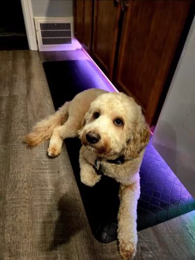 Barklyn Heights - Cleveland, OH