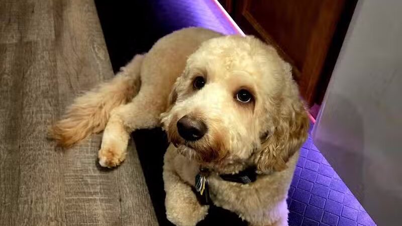 Barklyn Heights - Cleveland, OH