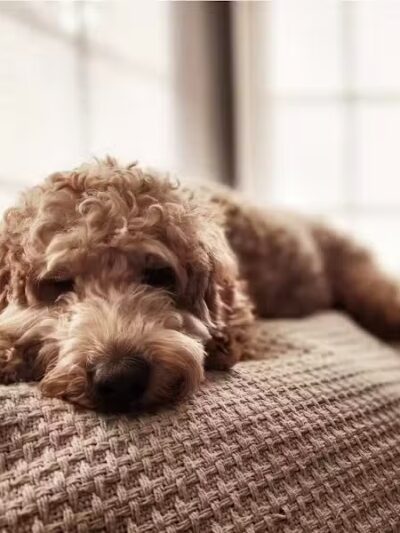 Barklyn Heights - Cleveland, OH