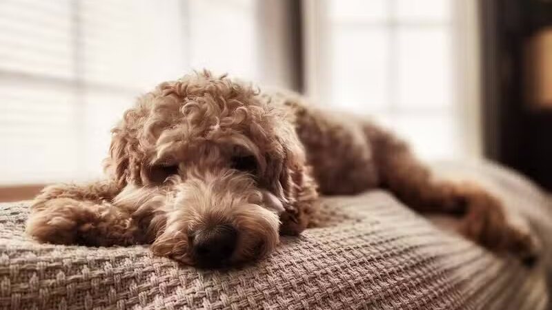 Barklyn Heights - Cleveland, OH