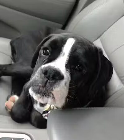 Barklyn Heights - Cleveland, OH