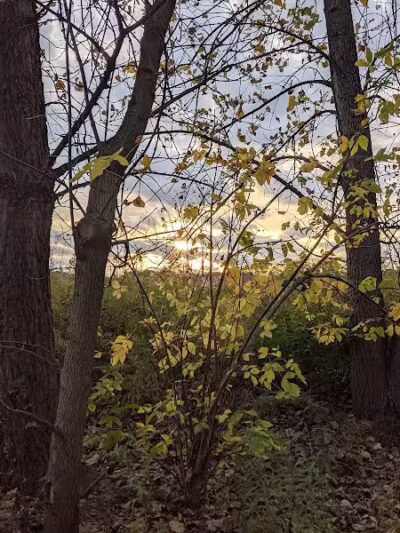 Brighton Park - Cleveland Metroparks Brookside Reservation - Cleveland, OH