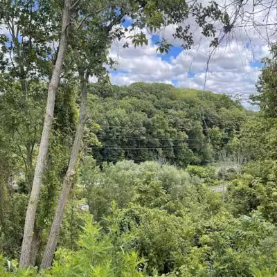Brighton Park - Cleveland Metroparks Brookside Reservation - Cleveland, OH