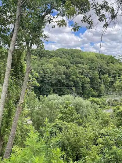 Brighton Park - Cleveland Metroparks Brookside Reservation - Cleveland, OH