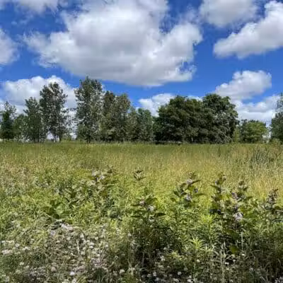Brighton Park - Cleveland Metroparks Brookside Reservation - Cleveland, OH