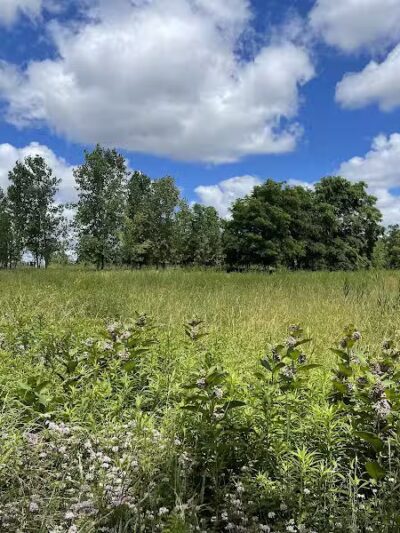 Brighton Park - Cleveland Metroparks Brookside Reservation - Cleveland, OH