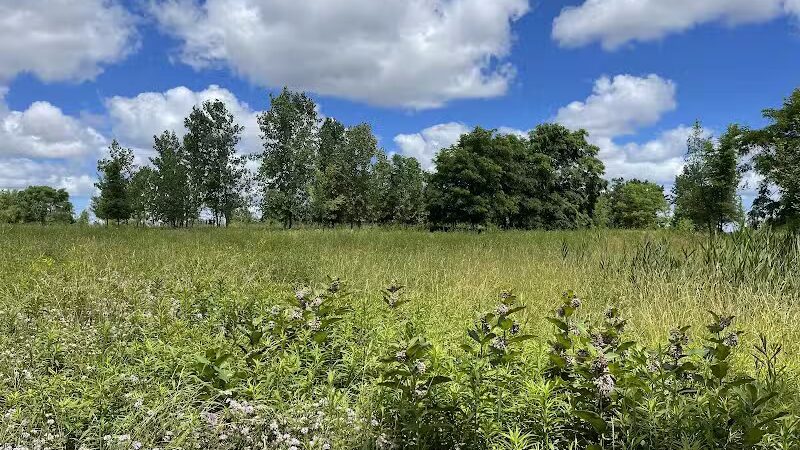 Brighton Park - Cleveland Metroparks Brookside Reservation - Cleveland, OH