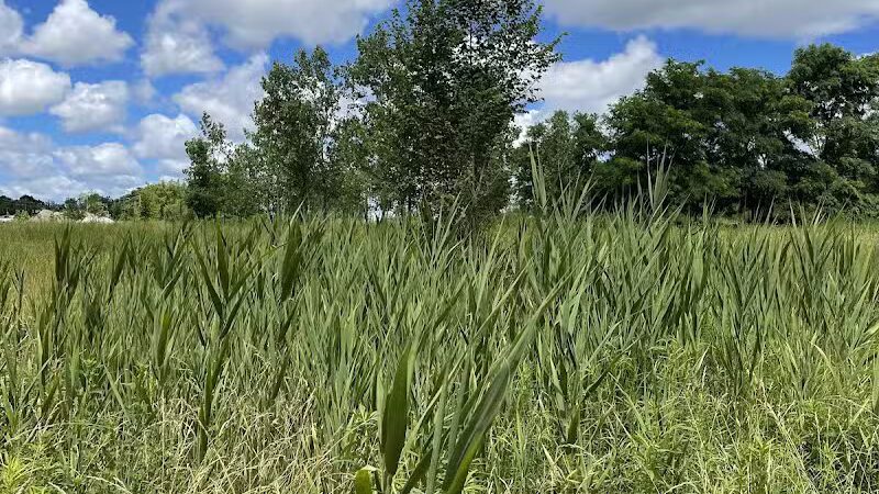 Brighton Park - Cleveland Metroparks Brookside Reservation - Cleveland, OH