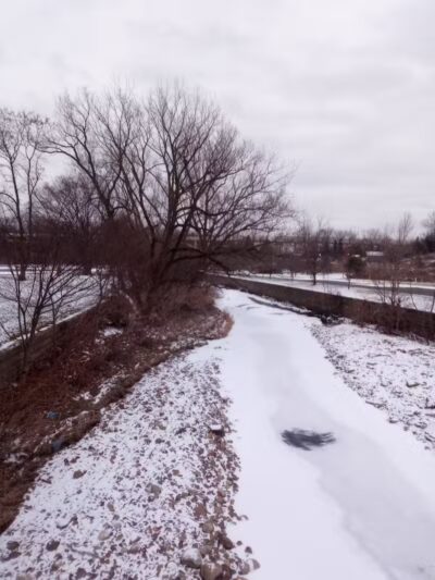 Brookside Reservation Bear Parking Lot - Cleveland, OH