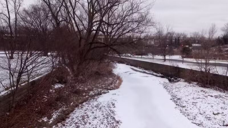 Brookside Reservation Bear Parking Lot - Cleveland, OH