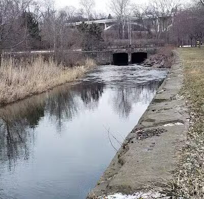 Brookside Reservation Bear Parking Lot - Cleveland, OH
