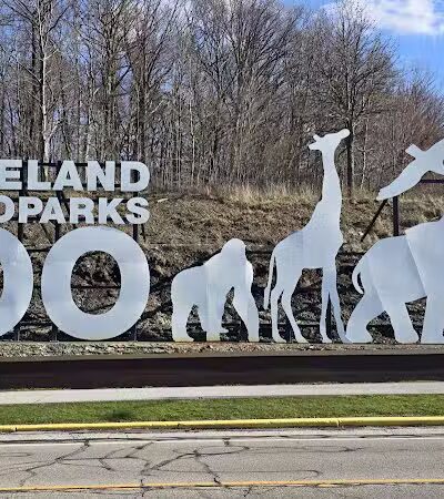 Brookside Reservation Bear Parking Lot - Cleveland, OH