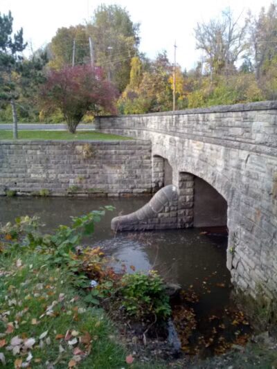 Brookside Reservation Bear Parking Lot - Cleveland, OH