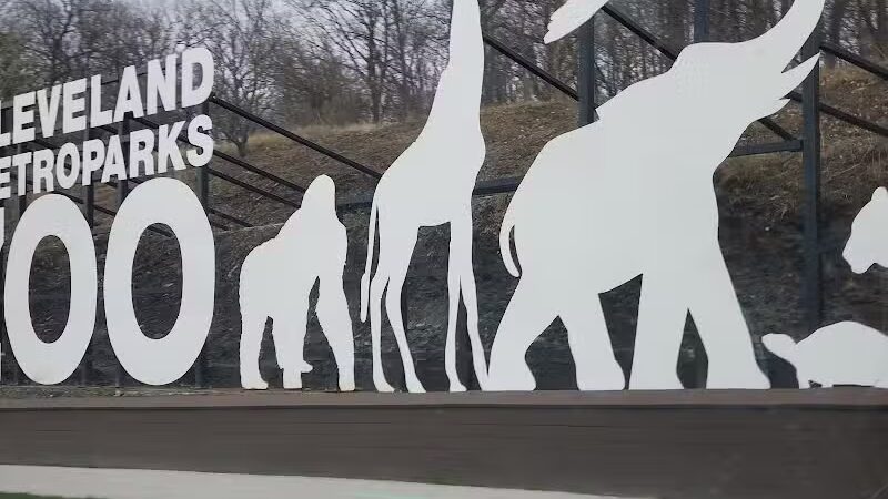 Brookside Reservation Sakura Grove Picnic Area - Cleveland, OH