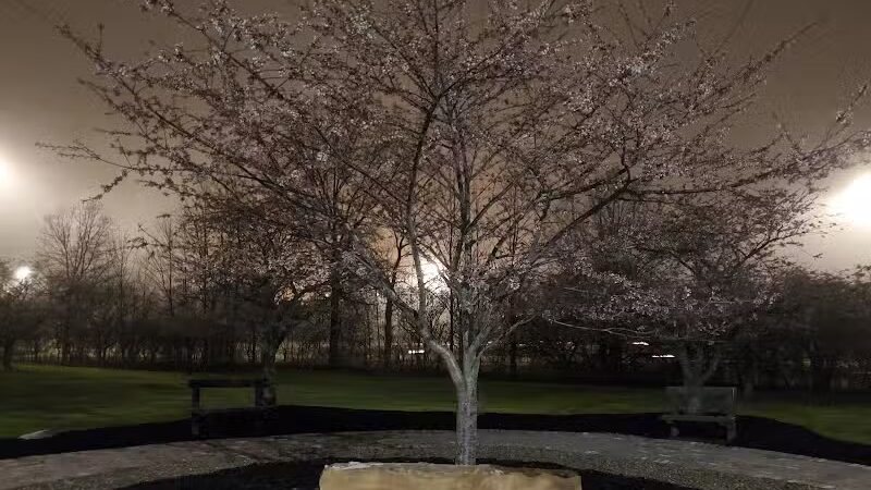 Brookside Reservation Sakura Grove Picnic Area - Cleveland, OH