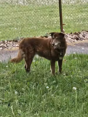 Calgary Park - Cleveland, OH