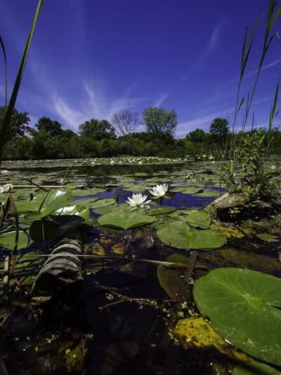 CanalWay Center - Cleveland, OH