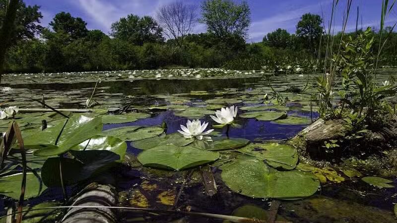 CanalWay Center - Cleveland, OH