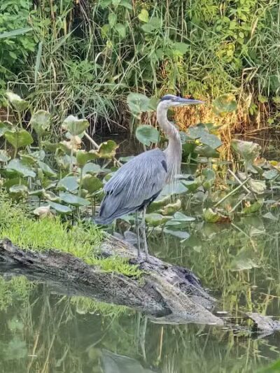 CanalWay Center - Cleveland, OH