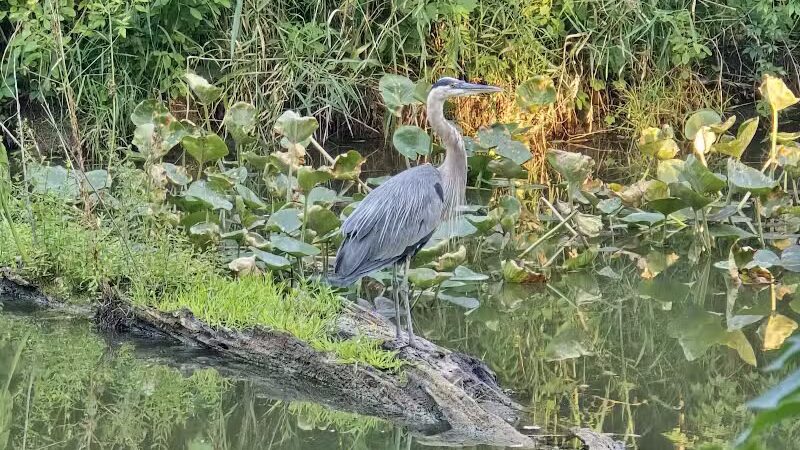 CanalWay Center - Cleveland, OH