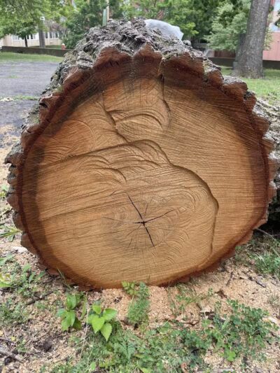 Cedar Glen Park - Cleveland, OH