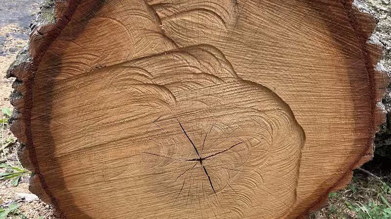 Cedar Glen Park - Cleveland, OH