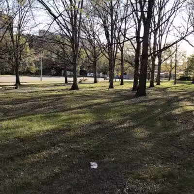 Cedar Glen Park - Cleveland, OH