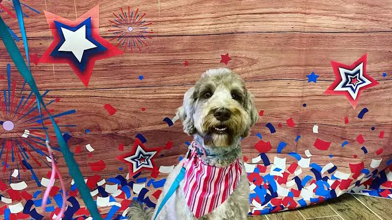 CLEdogs Spa & Social - Cleveland, OH